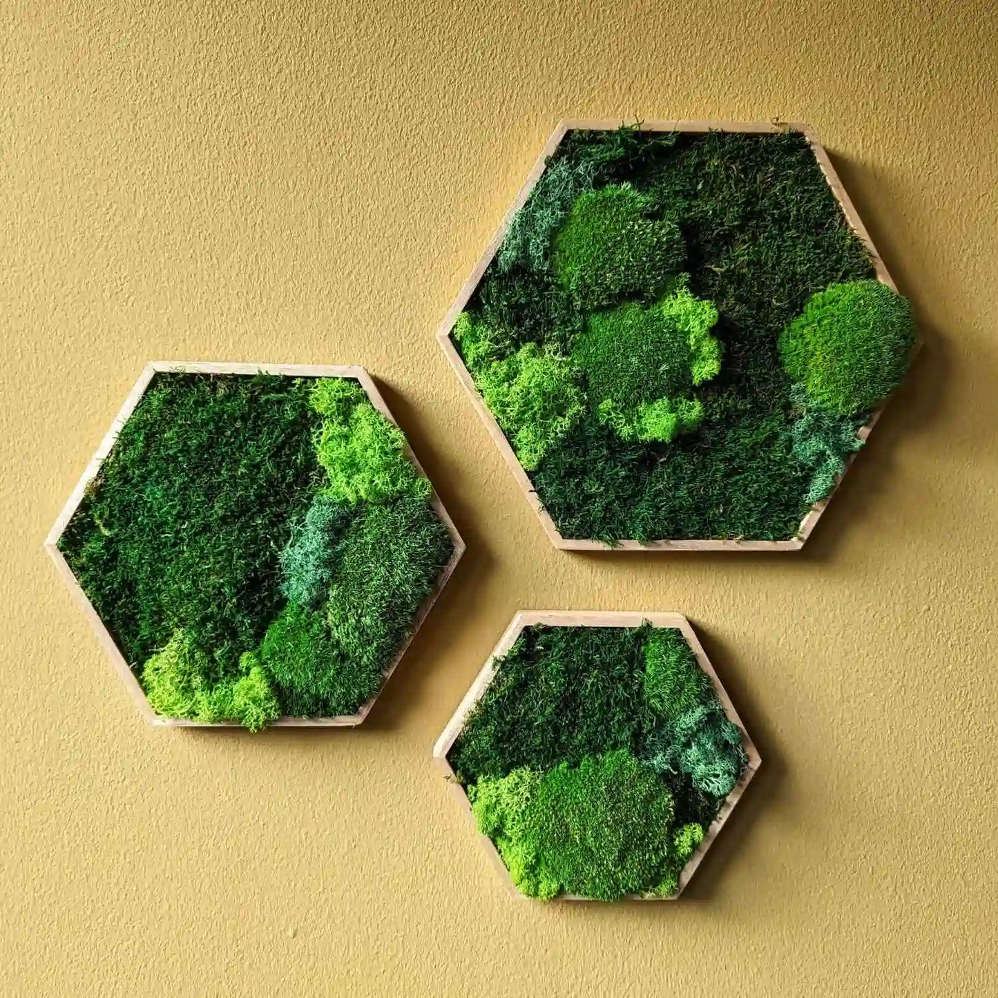 Pflegeleichte Wanddekoration, Moosbilder in Hexagon Form Perfekte Wanddeko