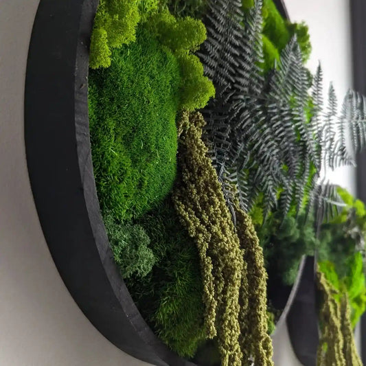 Schwarzer Holzrahmen rund 40 cm mit Kugelmoos, Islandmoos, Plattenmoos, Farn und Amarant