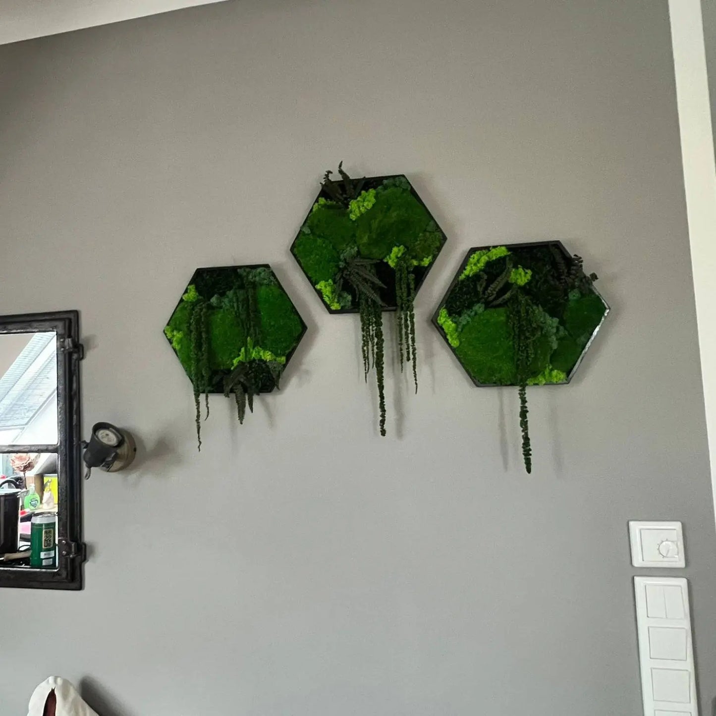 Hexagon Moosbilder an Wohnzimmerwand