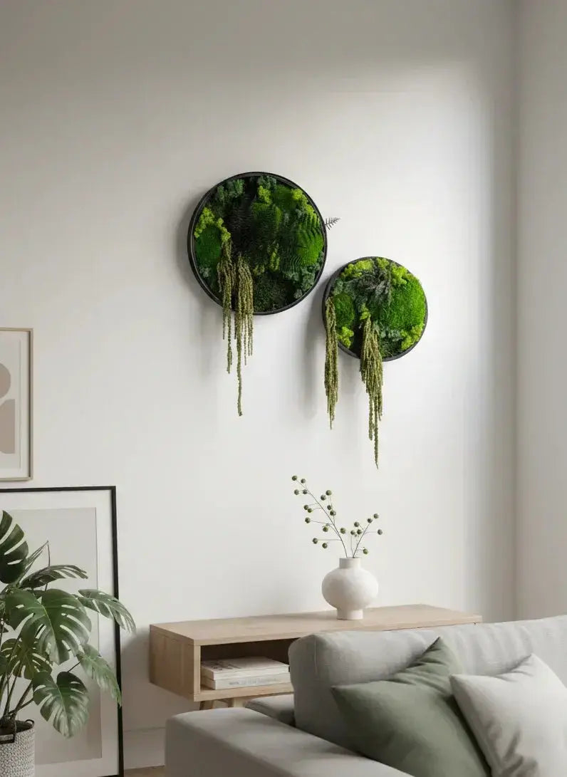 Moosbilder rund 30 und 40 cm Durchmesser hergestellt in Handarbeit an Wohnzimmerwand