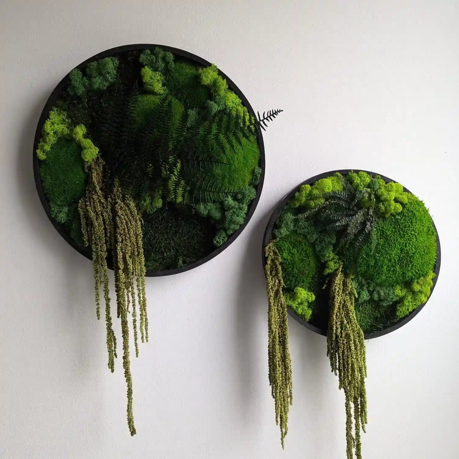 moos und farn Rundes Moosbild mit Farn & Amarant kaufen | Handgemacht