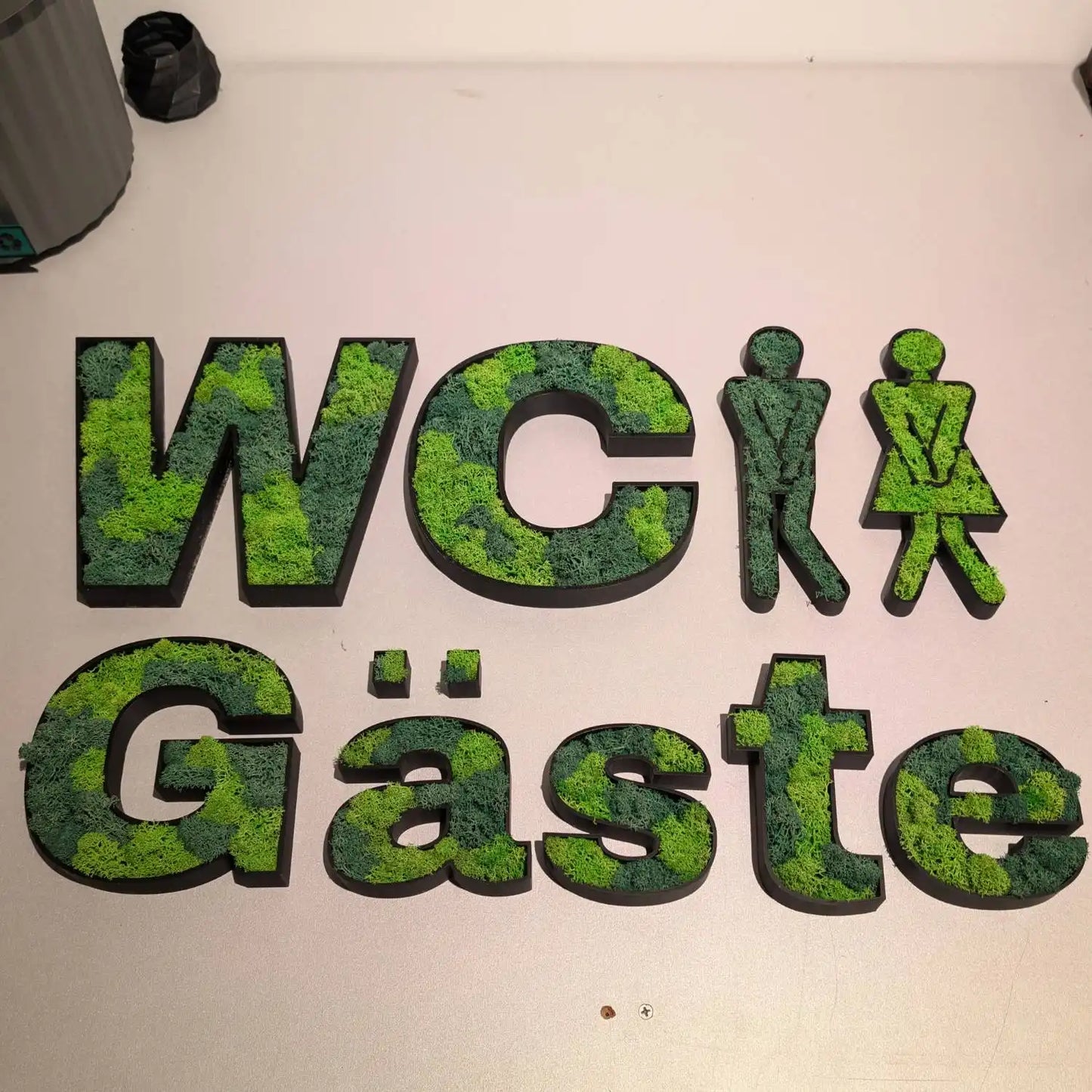 Gäste WC Schriftzug als Moosbuchstabend gefüllt mit Konservierten Islandmoos