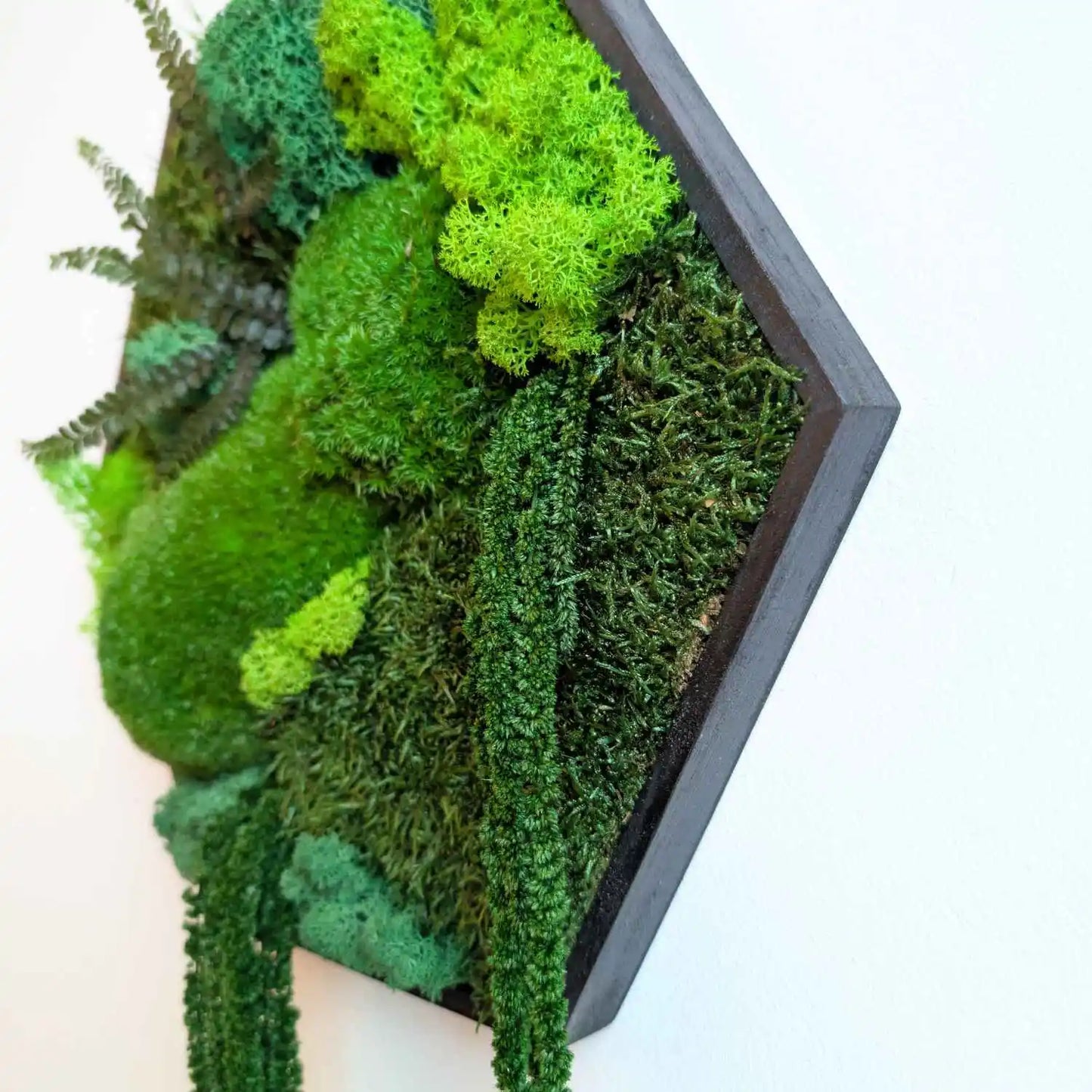 Detail Aufnahme von Farn und Amarant aus den handgefertigten Moosbild in Hexagonform