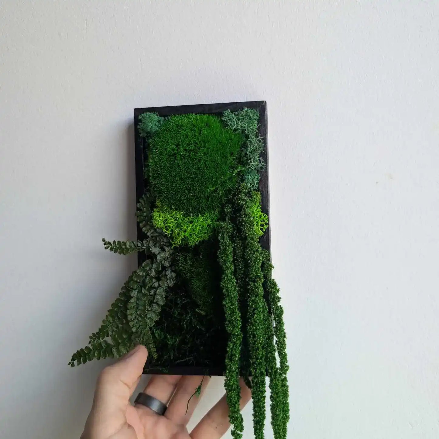 Moosbild klein handgefertigt als pflegeleichtes Geschenk