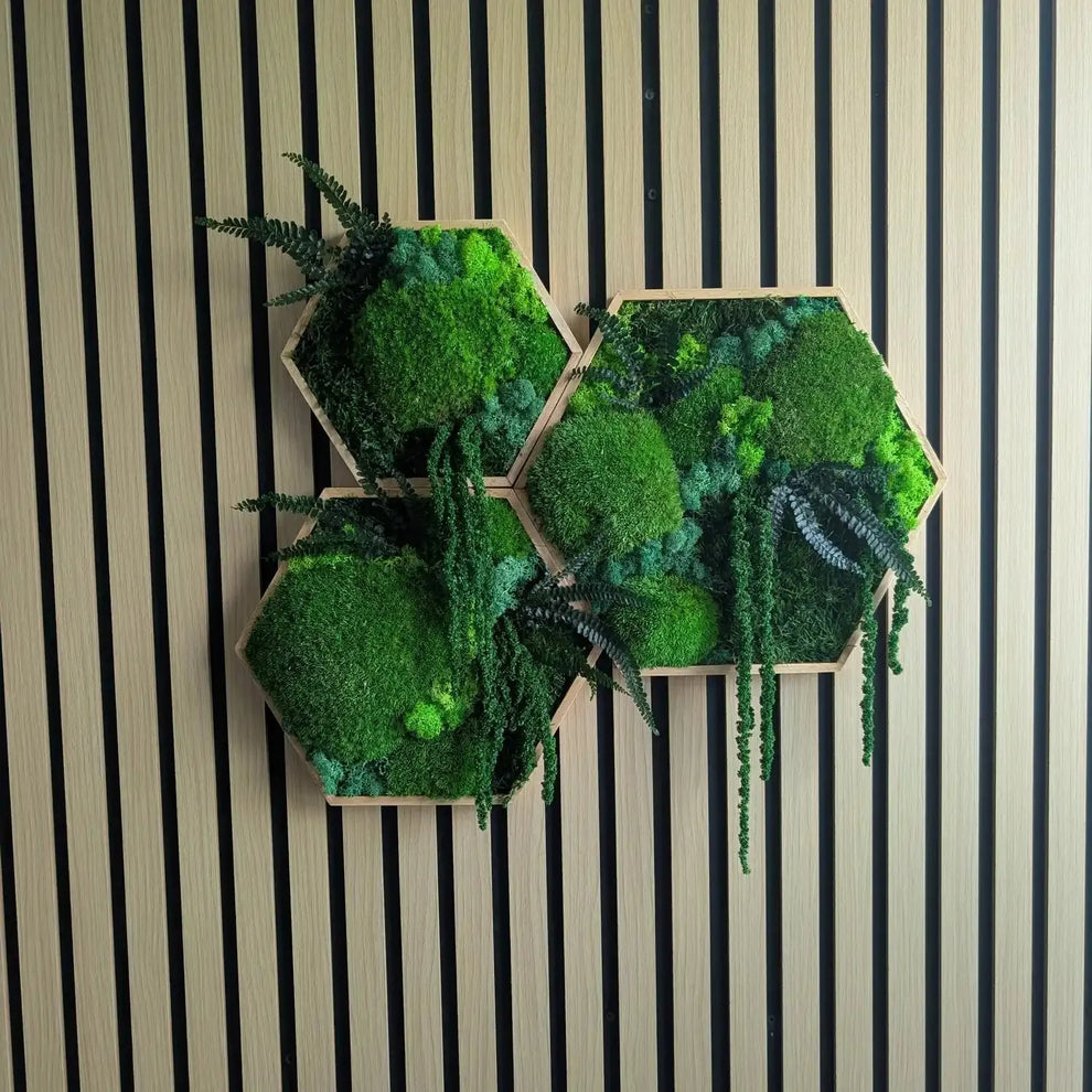 Ein Set aus verschiedenen Hexagon-Moosbildern von MoosSchmiede, ideal für eine individuelle und moderne Wandgestaltung im Wohnzimmer.