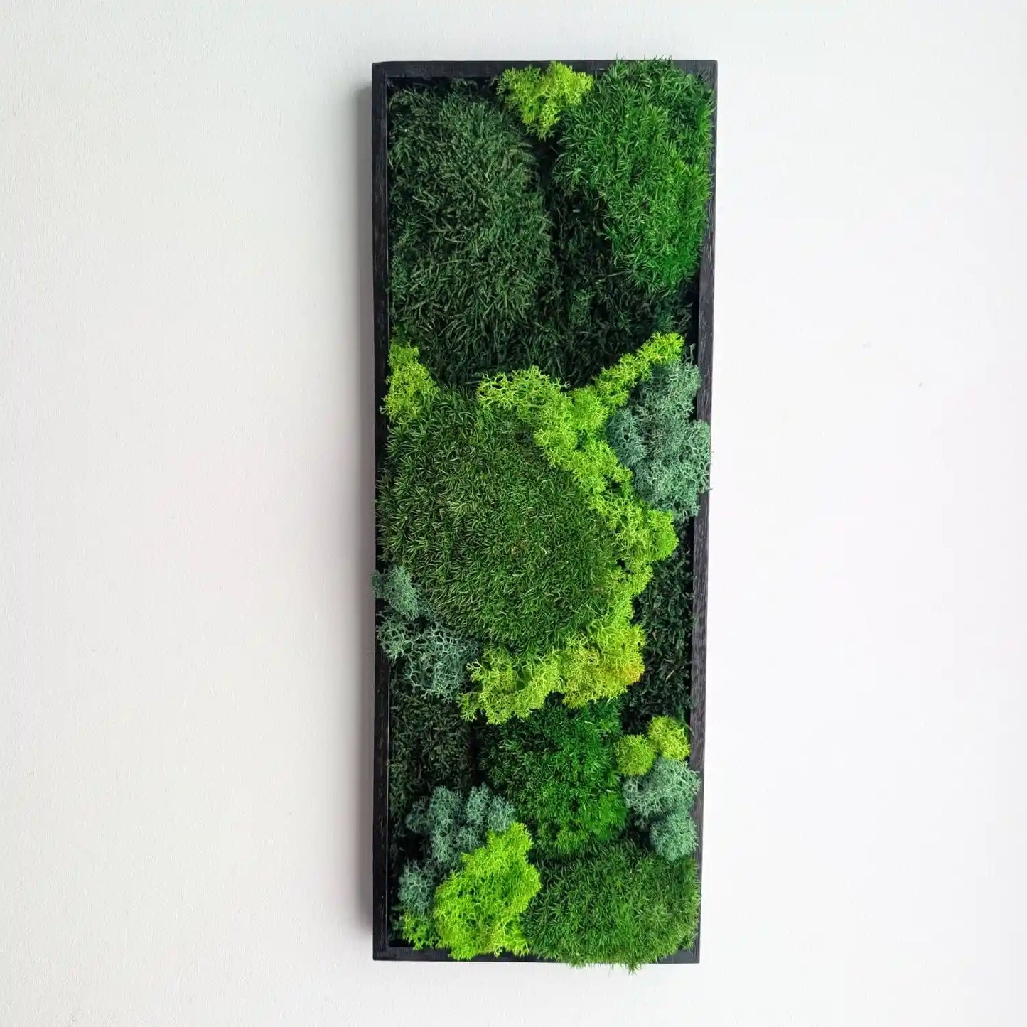 Rechteckiges Moosbild mit schwarzen Holzrahmen