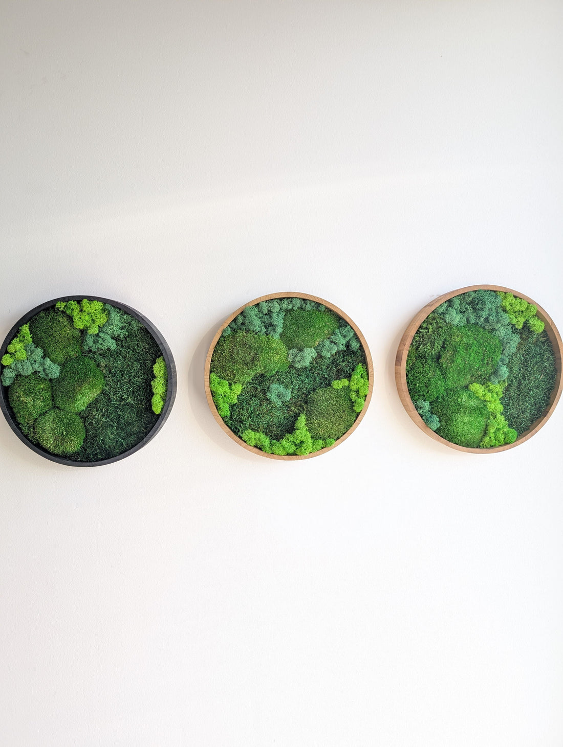 Pflanzen im dunklen Bad? Die einzige Lösung für Räume ohne Fenster