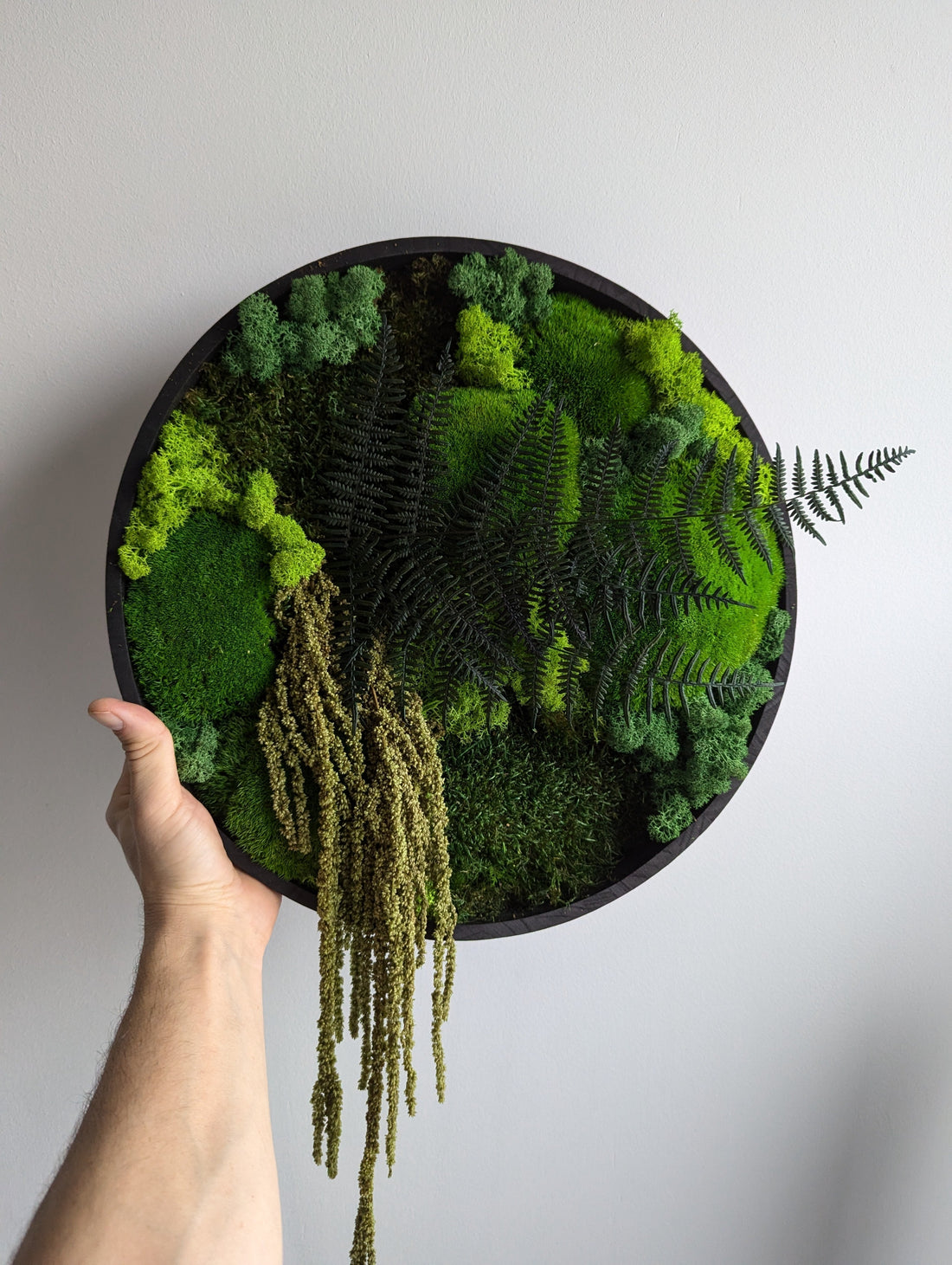 Kugelmoos, Plattenmoos, Islandmoos: Welche Moosart passt zu Deinem Moosbild?