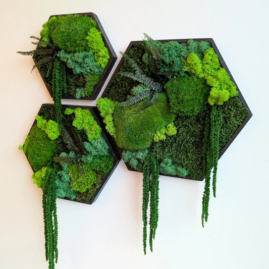 Hexagon-Inspiration: Gestalte deine eigene Mooswand