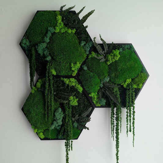 Die Wunderwelt des Mooses: Warum unsere Bilder so pflegeleicht sind