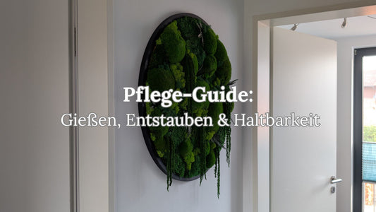 Moosbild Pflege-Guide: Ein Hexagon Wandbild aus echtem Islandmoos. Anleitung zum Entstauben, Gießen und zur Haltbarkeit der konservierten Moosbilder von der MoosSchmiede.