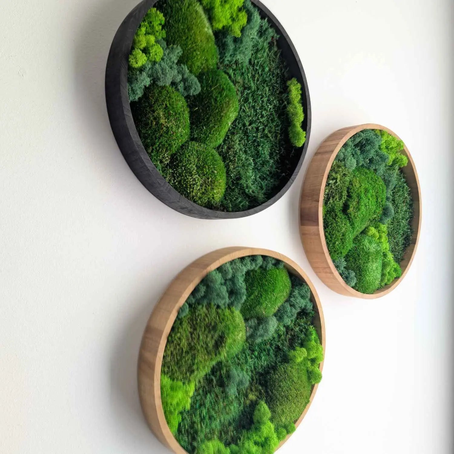 Runde Moosbilder | Wandkunst aus Moos & Holzrahmen | MoosSchmiede