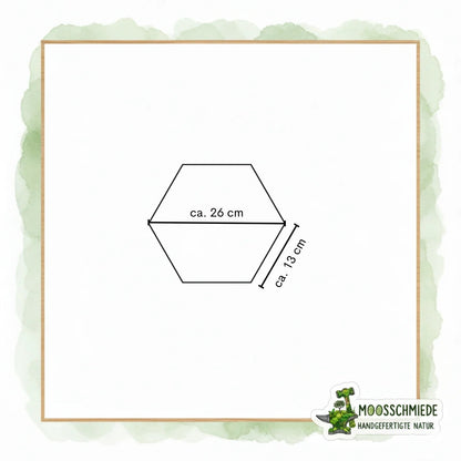 "Hexagon Moosbild (21/26/31cm) | Einzeln & erweiterbar | Kugelmoos, Farn, Amarant - Mein Shop"