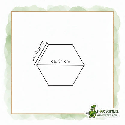 "Hexagon Moosbild (21/26/31cm) | Einzeln & erweiterbar | Kugelmoos, Farn, Amarant - Mein Shop"