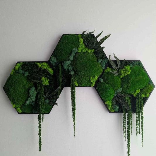 Erweiterbare Mooswand für dein Zuhause, Büro oder Praxis