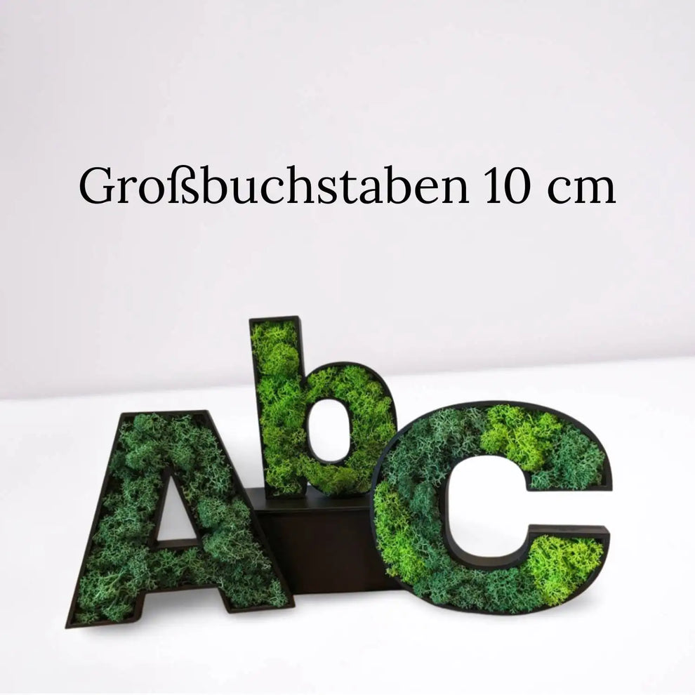 Islandmoosbuchstaben in Großschrift in 10 cm höhe