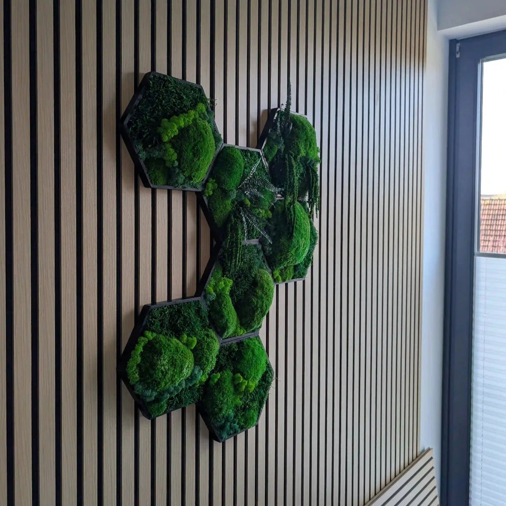 Hexagon Moosbilder aufgehangen in kreativer Form mit Kugelmoos, Islandmoos, Plattenmoos, Farn und Amarant