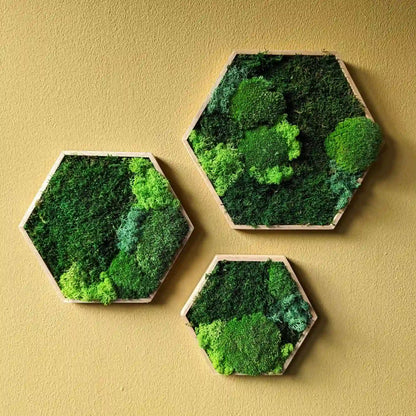 Pflegeleichte Wanddekoration, Moosbilder in Hexagon Form Perfekte Wanddeko