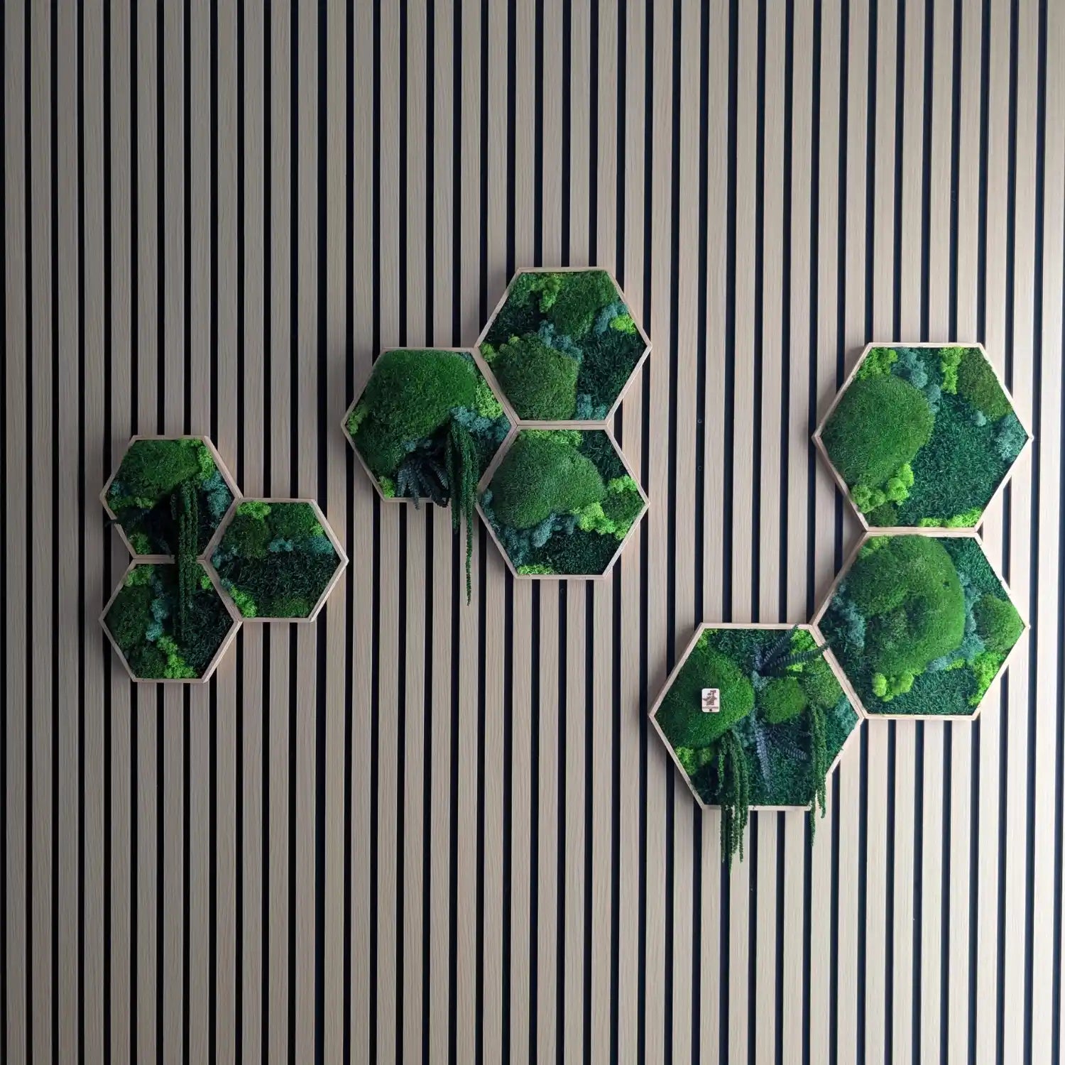 9-teiliges Moosbild Hexagon Set "Triple Harmony" als große Wanddeko über einem Sideboard im Wohnzimmer. Das Natur-Wandbild besteht aus Kugelmoos, Islandmoos und Plattenmoos in echten, geölten Holzrahmen.