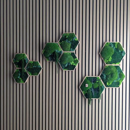 9-teiliges Moosbild Hexagon Set "Triple Harmony" als große Wanddeko über einem Sideboard im Wohnzimmer. Das Natur-Wandbild besteht aus Kugelmoos, Islandmoos und Plattenmoos in echten, geölten Holzrahmen.