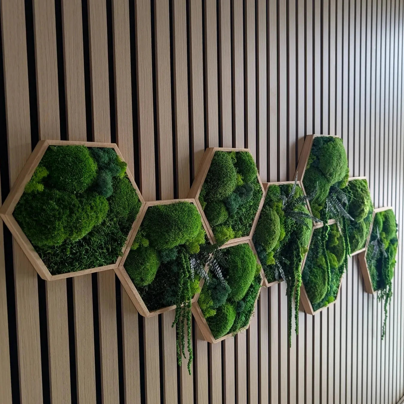 Hexagon Moosbilder an einer Wand im eingangsbereiche iner Firma. Um den Kunden ein gutes gefühl zu geben