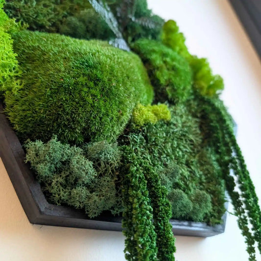 Perfekte Kombination aus harmonischen Moosarten in handgefertigten Moosbild