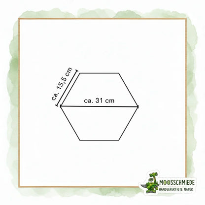 Hexagon Moosbild (21/26/31cm) | Einzeln & erweiterbar | Kugelmoos, Farn, Amarant - Mein Shop