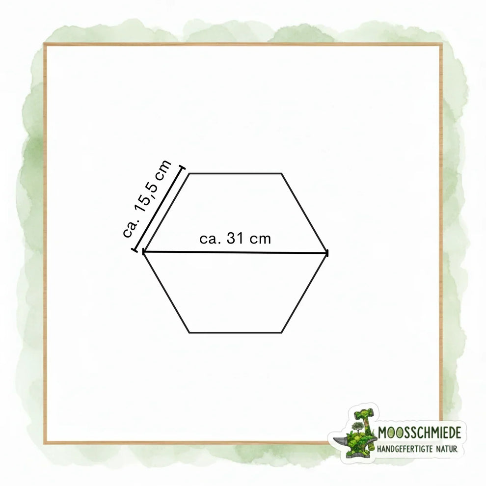 Hexagon Moosbild (21/26/31cm) | Einzeln & erweiterbar | Kugelmoos, Farn, Amarant - Mein Shop