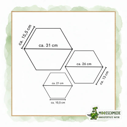 Hexagon Moosbild (21/26/31cm) | Einzeln & erweiterbar | Kugelmoos, Farn, Amarant - Mein Shop
