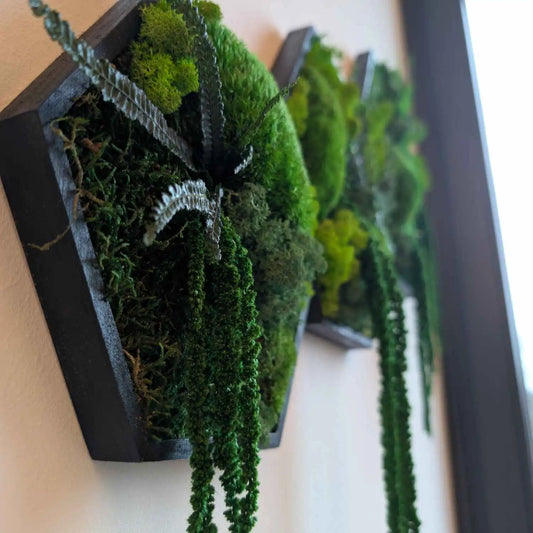 Stabilisiertes Farn in Detail Aufnahme 