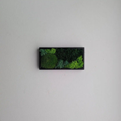 kleines Rechteckiges Moosbild an weißer Wand