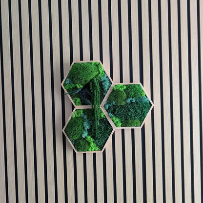Hexagon Set 3 Teilig in geölten rahmen ideal für Schallschutz , pflegefreie wanddeko