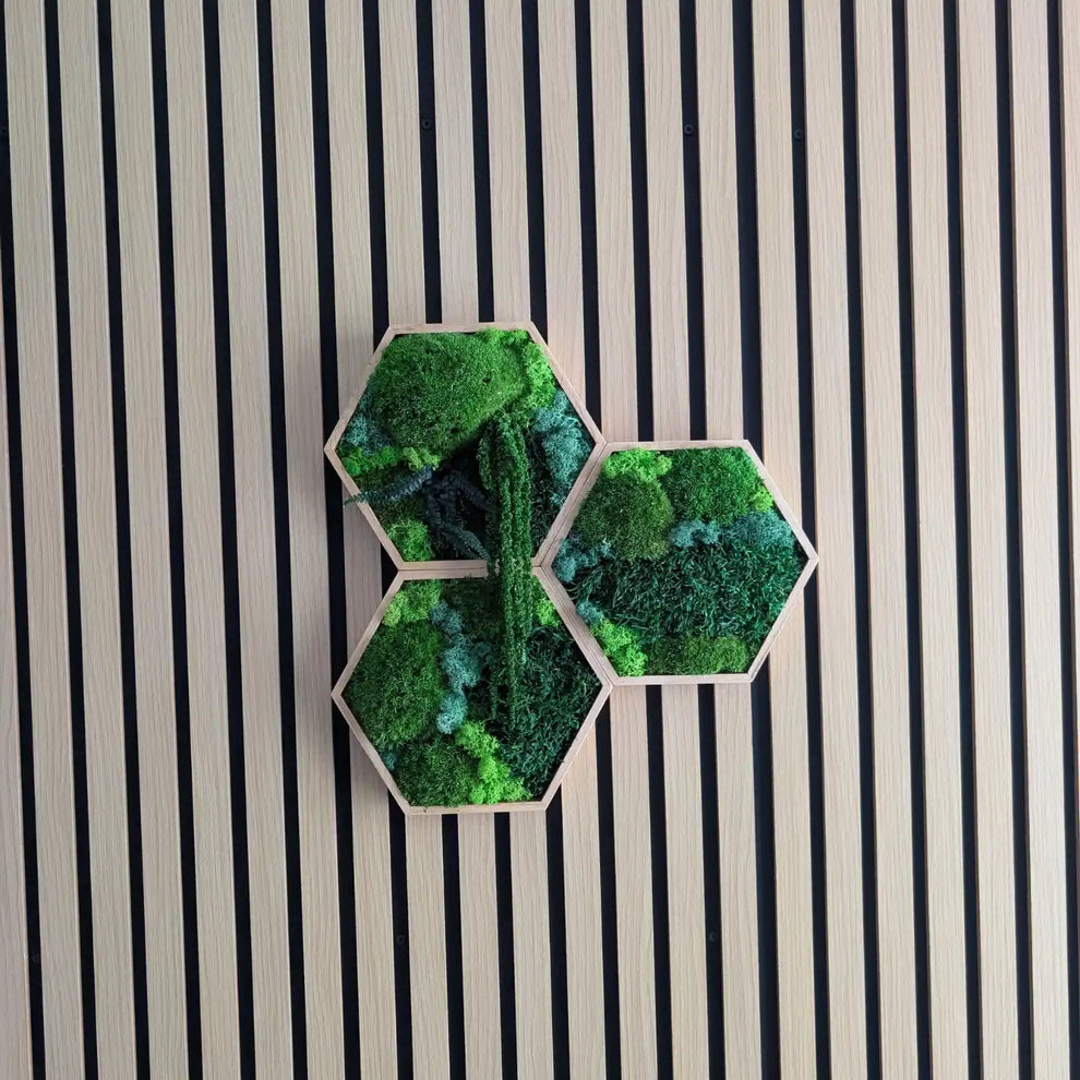 Hexagon Set 3 Teilig in geölten rahmen ideal für Schallschutz , pflegefreie wanddeko