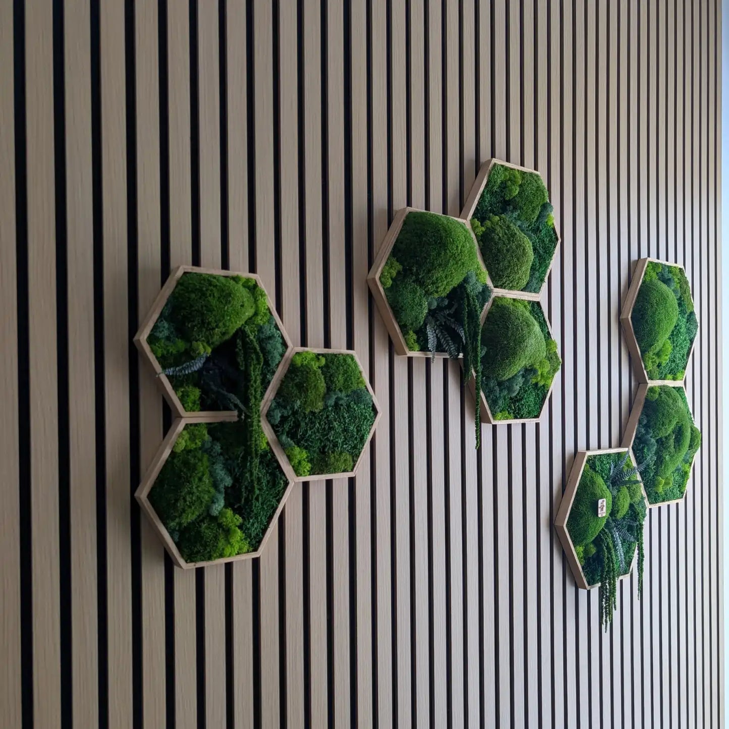 Modernes Biophilic Design Wandbild aus 9 Hexagonen zur Verbesserung der Raumakustik. Die naturgrünen Moos-Waben mit echtem Pflanzen-Mix hängen an einer hellen Wand und sorgen für natürlichen Schallschutz.