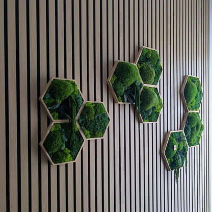 Modernes Biophilic Design Wandbild aus 9 Hexagonen zur Verbesserung der Raumakustik. Die naturgrünen Moos-Waben mit echtem Pflanzen-Mix hängen an einer hellen Wand und sorgen für natürlichen Schallschutz.