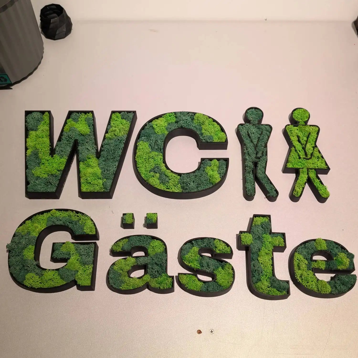 Gäste WC Schriftzug als Moosbuchstabend gefüllt mit Konservierten Islandmoos