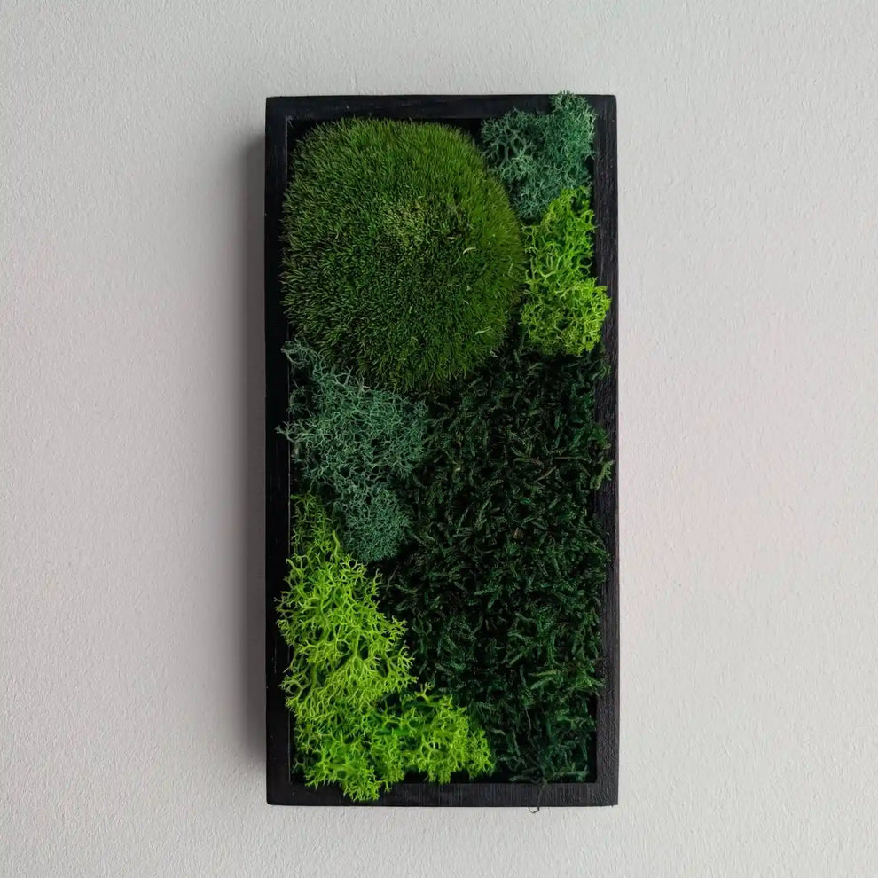 kleines rechteckiges Moosbild an weißer Wand
