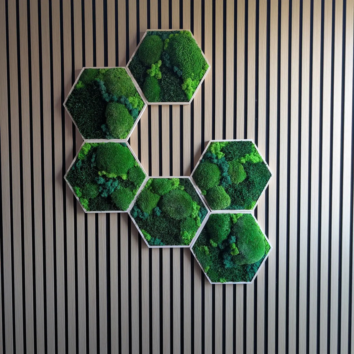 Pflegeleichte Wanddekoration aus 100% natürlichem Moos im Hexagon-Rahmen – kein Gießen oder Licht notwendig