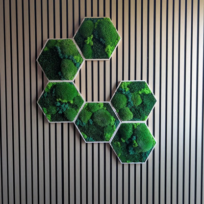 Pflegeleichte Wanddekoration aus 100% natürlichem Moos im Hexagon-Rahmen – kein Gießen oder Licht notwendig