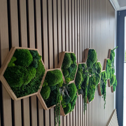 Moderne Wanddekoration: Eine detailreiche Seitenansicht unserer handgefertigten Hexagon Moosbilder an einer Holzakustikwand. Die Kombination aus Kugelmoos, Islandmoos und Plattenmoos sorgt für faszinierende Tiefe, ergänzt durch natürliche Elemente wie Farne und Amarant. 100% pflegeleicht und ein absolut einzigartiger Hingucker für dein Zuhause