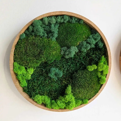Handgefertigtes Moosbild rund in 30 cm im 3er Set mit Rabatt
