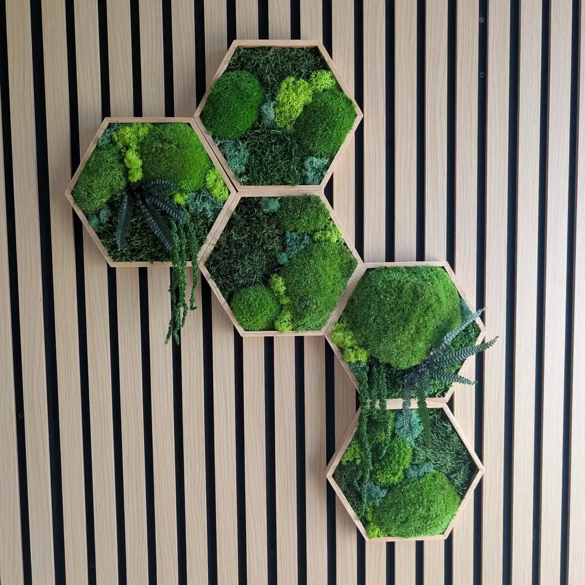 Handgefertigtes Set aus 5 Moos-Hexagonen an einer modernen Holzakustikwand. Die Kombination aus Kugelmoos, Islandmoos und Plattenmoos schafft eine besondere Tiefe. Ein pflegeleichtes Unikat aus unserer Werkstatt in Lüdinghausen, das Natur pur in dein Zuhause bringt