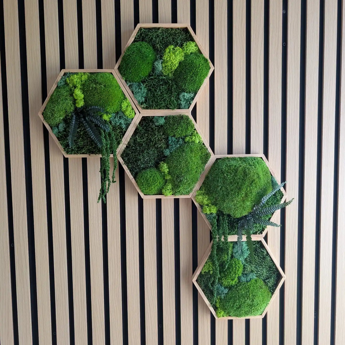 Handgefertigtes Set aus 5 Moos-Hexagonen an einer modernen Holzakustikwand. Die Kombination aus Kugelmoos, Islandmoos und Plattenmoos schafft eine besondere Tiefe. Ein pflegeleichtes Unikat aus unserer Werkstatt in Lüdinghausen, das Natur pur in dein Zuhause bringt