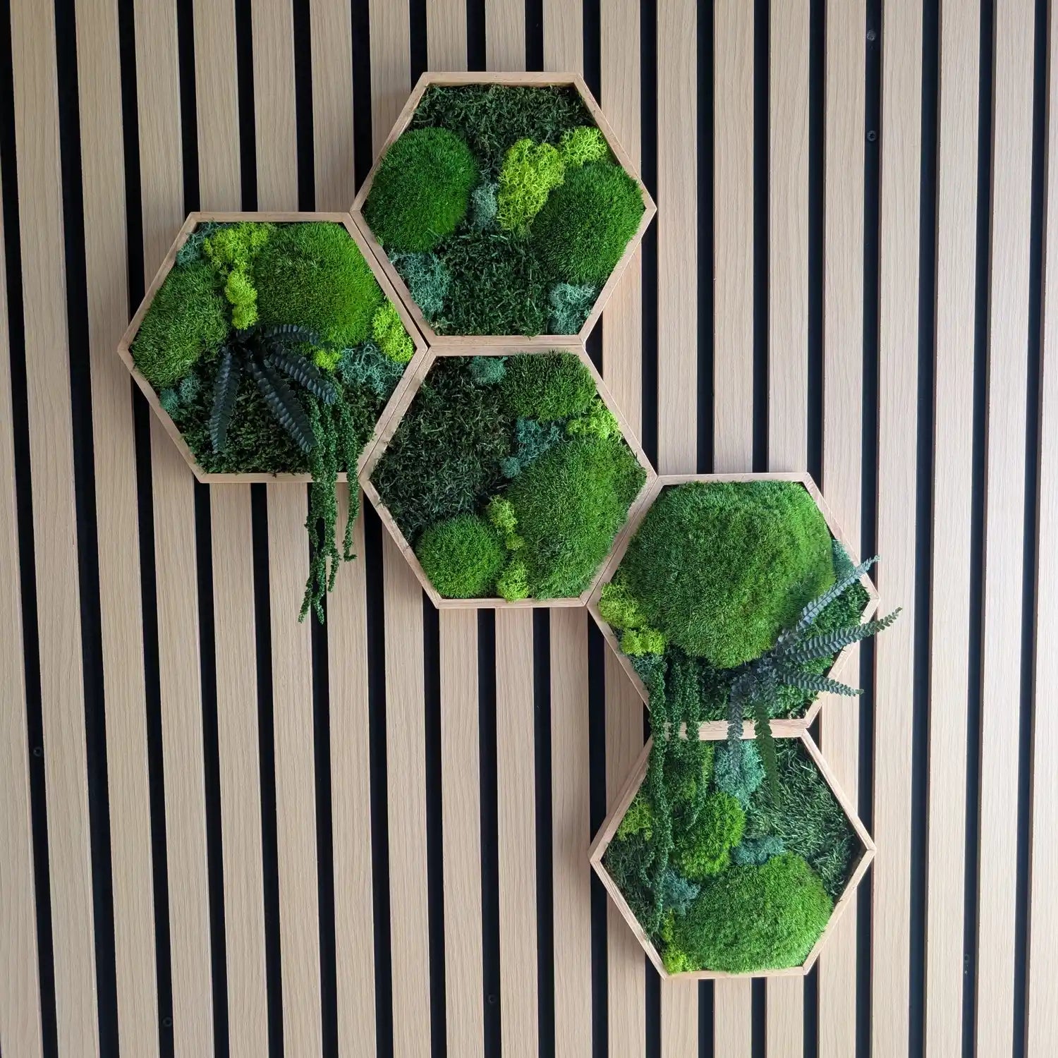 Handgefertigtes Set aus 5 Moos-Hexagonen an einer modernen Holzakustikwand. Die Kombination aus Kugelmoos, Islandmoos und Plattenmoos schafft eine besondere Tiefe. Ein pflegeleichtes Unikat aus unserer Werkstatt in Lüdinghausen, das Natur pur in dein Zuhause bringt