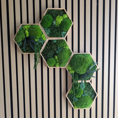 Handgefertigtes Set aus 5 Moos-Hexagonen an einer modernen Holzakustikwand. Die Kombination aus Kugelmoos, Islandmoos und Plattenmoos schafft eine besondere Tiefe. Ein pflegeleichtes Unikat aus unserer Werkstatt in Lüdinghausen, das Natur pur in dein Zuhause bringt