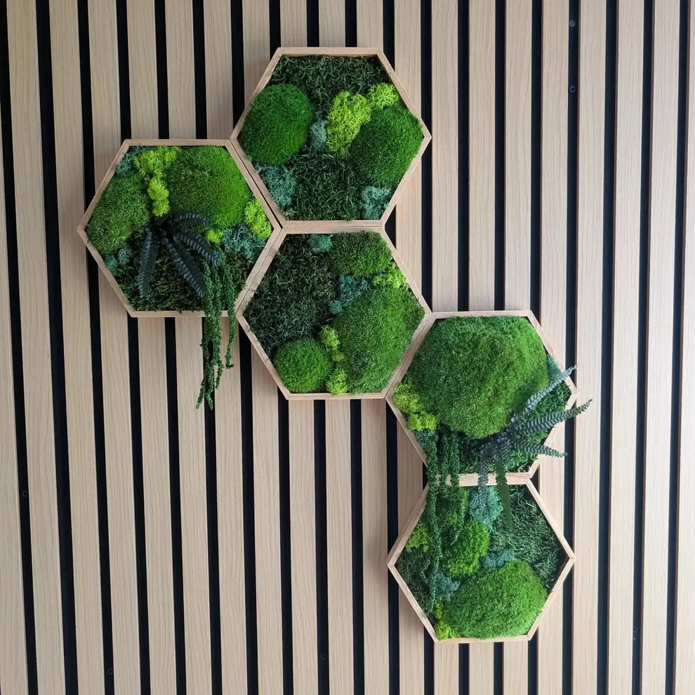 Handgefertigtes Set aus 5 Moos-Hexagonen an einer modernen Holzakustikwand. Die Kombination aus Kugelmoos, Islandmoos und Plattenmoos schafft eine besondere Tiefe. Ein pflegeleichtes Unikat aus unserer Werkstatt in Lüdinghausen, das Natur pur in dein Zuhause bringt