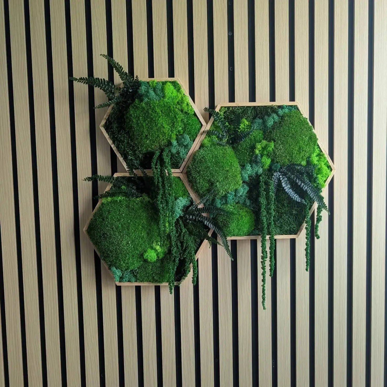Individuelles Hexagon Moosbild gestalten | Handgemacht | MoosSchmiede