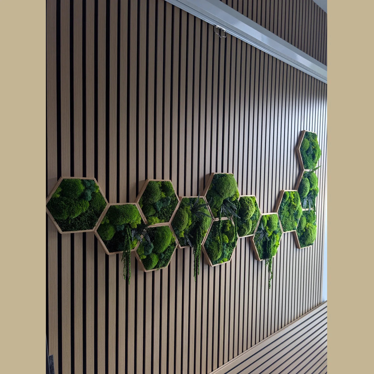 Mehrere geölte Hexagon-Moosbilder als Set an einer Lamellenwand