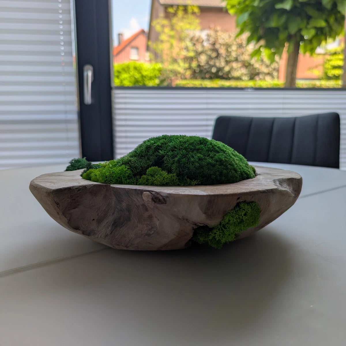 Moosschale aus hellem Naturholz vor Fenster mit Gartenblick im Hintergrund