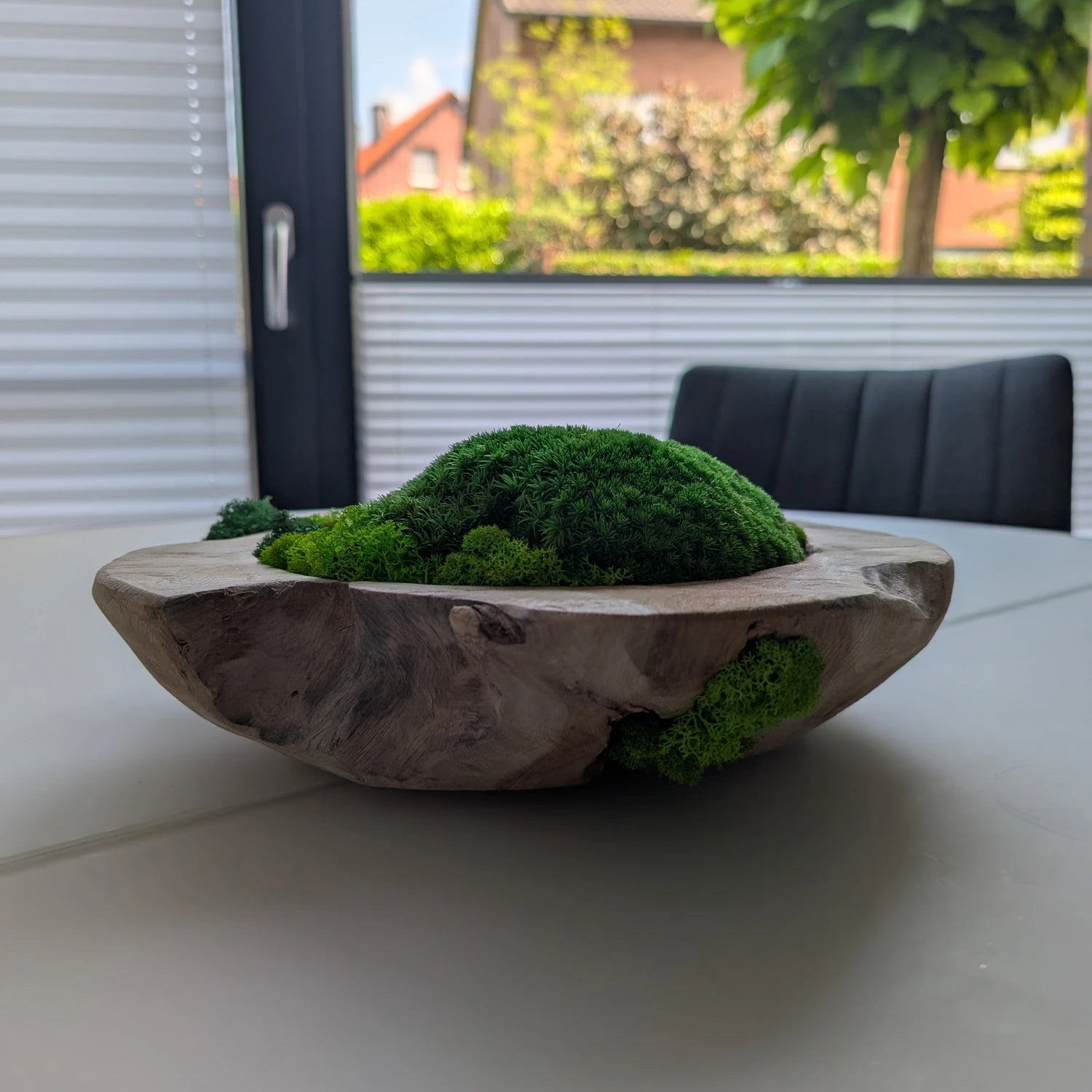 Moosschale aus hellem Naturholz vor Fenster mit Gartenblick im Hintergrund